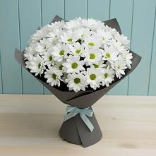 Букет цветов из:  Хризантемы #REPLACE_PRED# Заозерске
