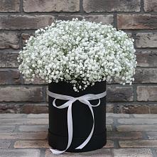Цветочная композиция из Гипсофила в шляпной коробке в Заозерске