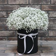 Цветочная композиция из Гипсофила в шляпной коробке в Заозерске