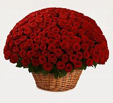 Премиум букет из: Розы #REPLACE_PRED# Заозерске